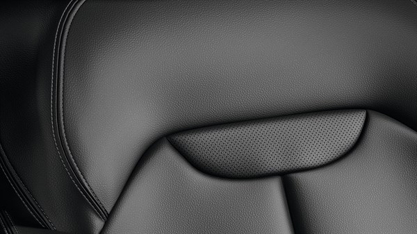 Renault KADJAR - Black leather