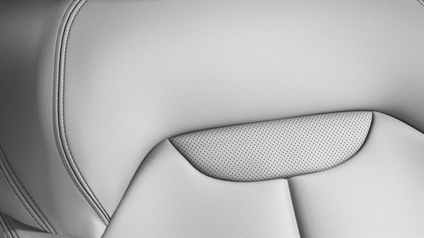 Renault KADJAR - White leather
